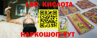 СК Кимры