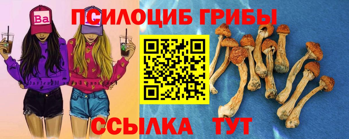 Заволжье  МАРИХУАНА  Вход с VPN  Марихуана  Меф МЯУ МЯУ кристаллы  НБОМе  ГАШИШ  КОКАИН  ЭКСТАЗИ  Гашиш 