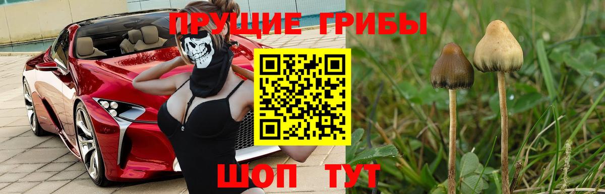 Псилоцибиновые грибы Magic Shrooms  Вход с VPN  Заволжье 