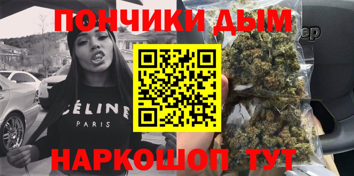 Конопля гибрид Заволжье